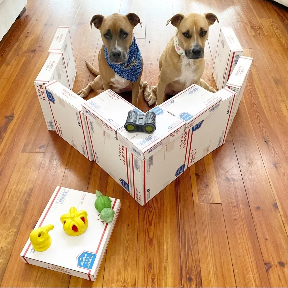 FOLLOW MY CUTE PAWSH ASSISTANTS! 🐶🐶🛍👑🐝 - Picture 9 of 16